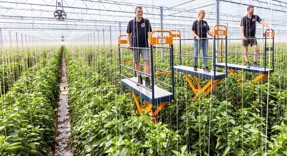Vogner traller høsting transport veksthus forhandler Norge Berg Hortimotive nettside web link
